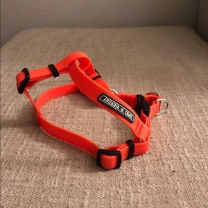 Arcadia Trail dog harness
